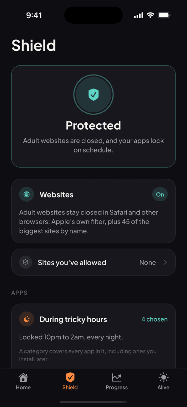 The Shield tab